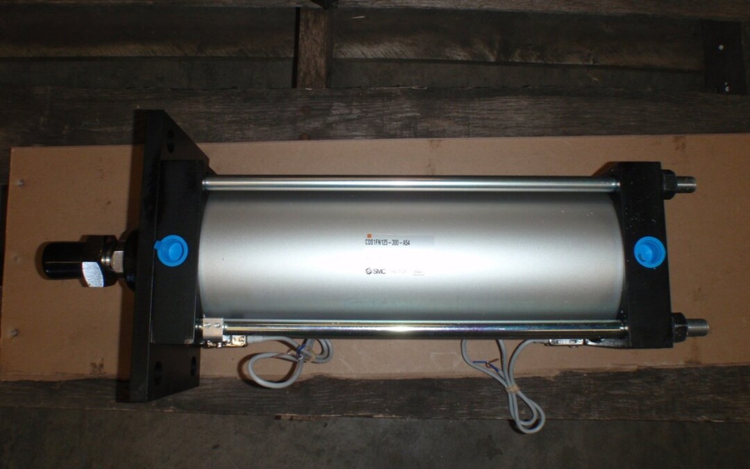 SMC CDS1FN125-300-A54 Cylinder