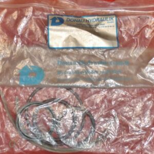 Donau Hydraulik 49935-100 Seal Kit