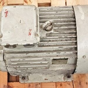 Franz Brandstetter 180-M-4 25 HP Motor