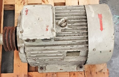 Franz Brandstetter 180-M-4 25 HP Motor