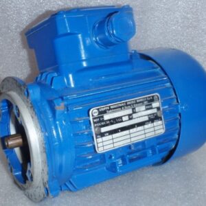 Gruppo Industriale Ercole Marelli MA63C4B14 .335 HP Motor