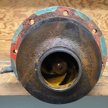 Marathon M309 VVD145TTDR5352AA 2-HP Motor - Image 4