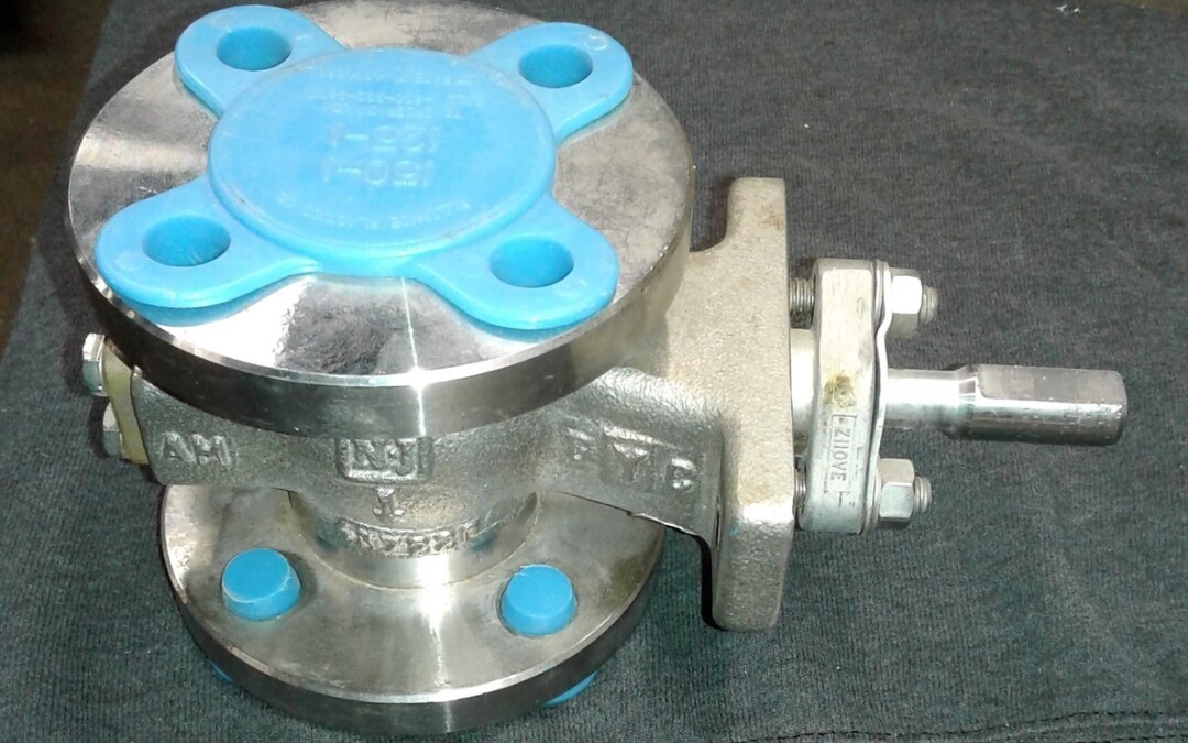 Neles-Jamesbury C05 R21C B01 AJJL Stainless Steel Flange Mount Ball Valve