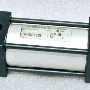 Numatics P2AK-02A1D-EAA0 Pneumatic Cylinder