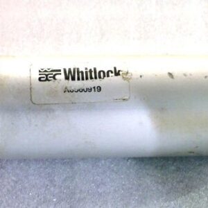 Whitlock A6560919 Cylinder