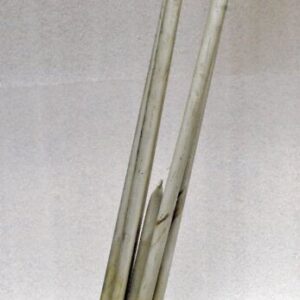 Wiegand TRSS 4065 Immersion Heater